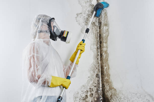 Water Damage Restoration in Odem, TX