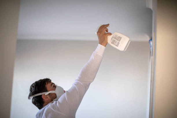 Best Mold Remediation  in Odem, TX